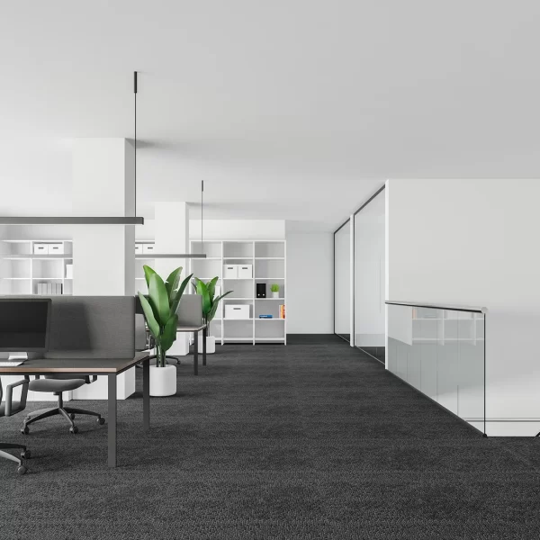 Minimalist open-plan office interior with charcoal grey commercial carpeting, white workstations, glass partitions, and indoor plants.